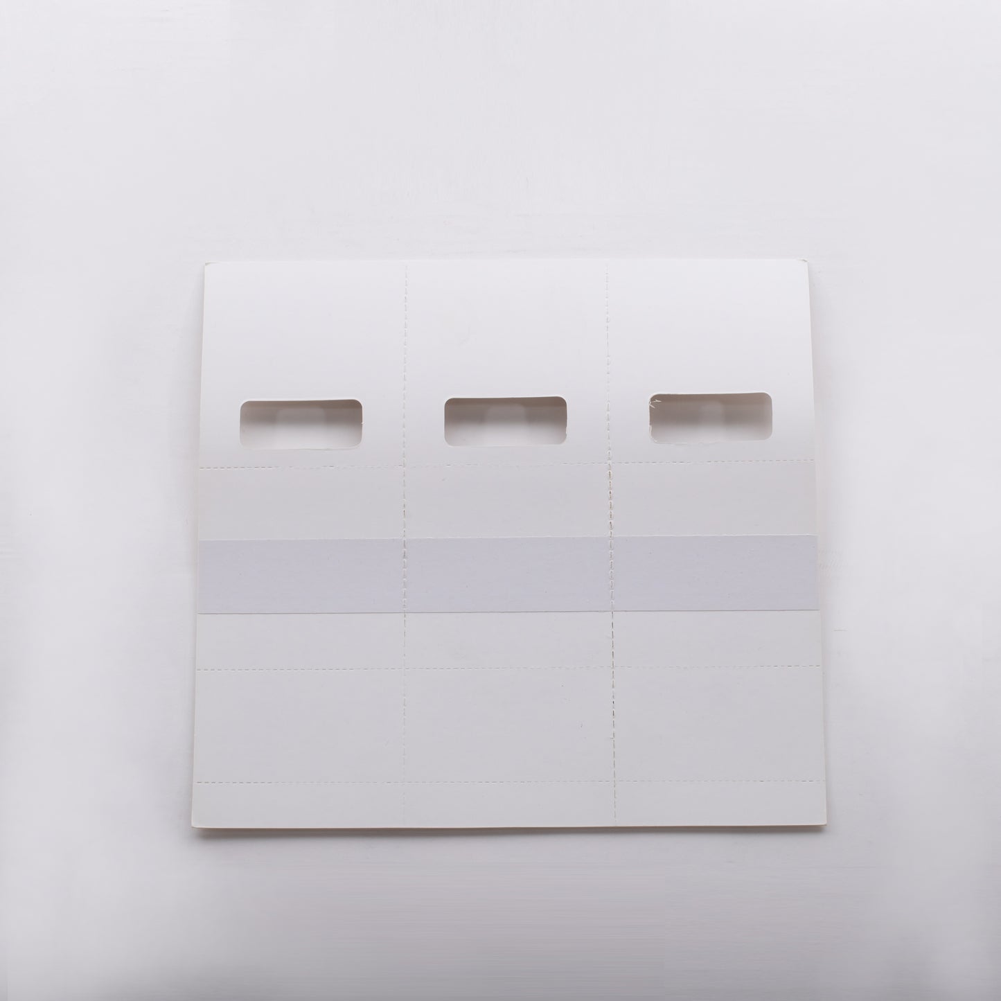 GSI Insect Trap (1 Box = 100 Traps)