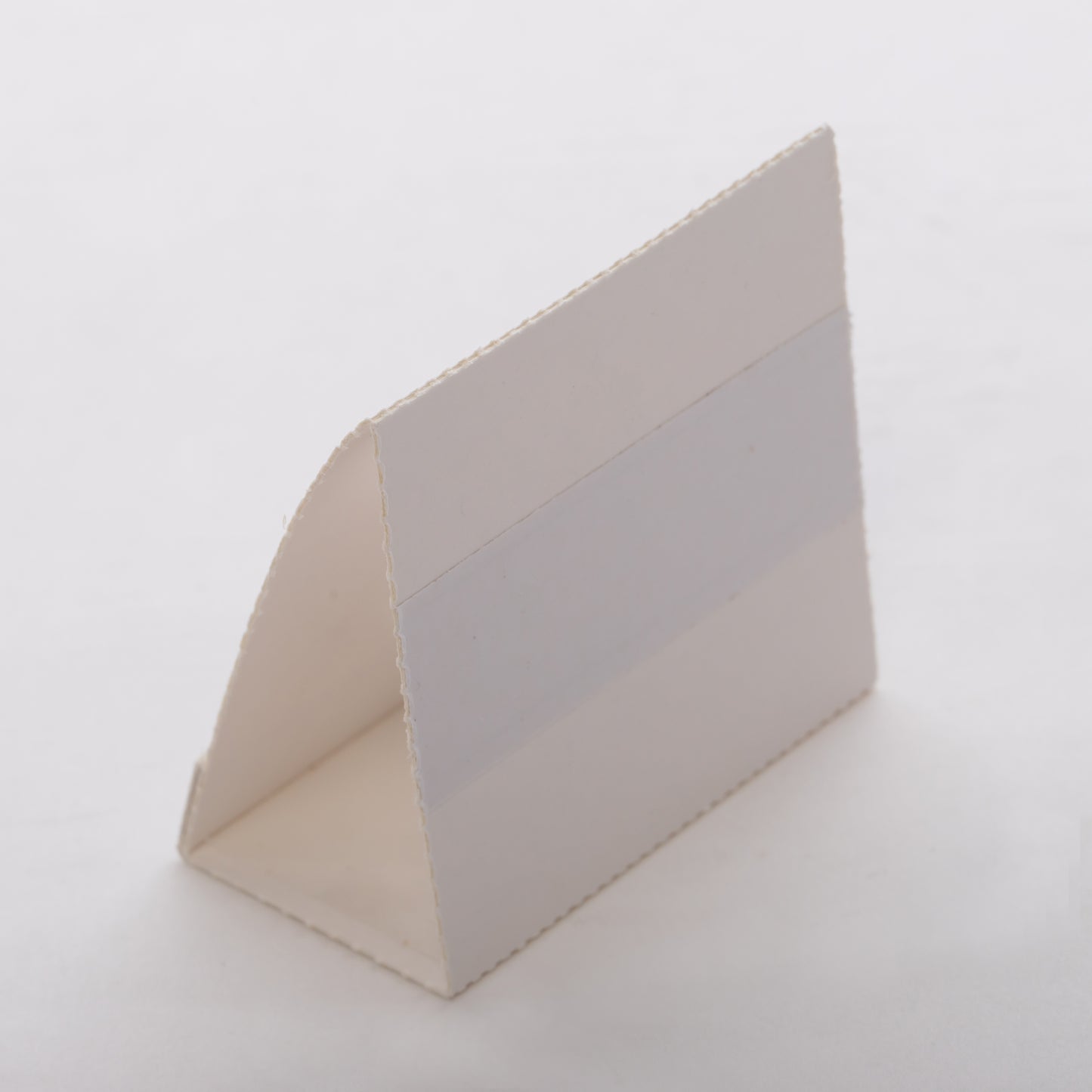GSI Insect Trap (1 Box = 100 Traps)